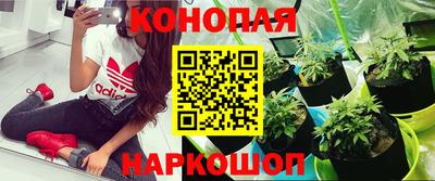 твердый Краснознаменск
