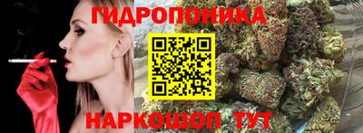 индика Краснокаменск