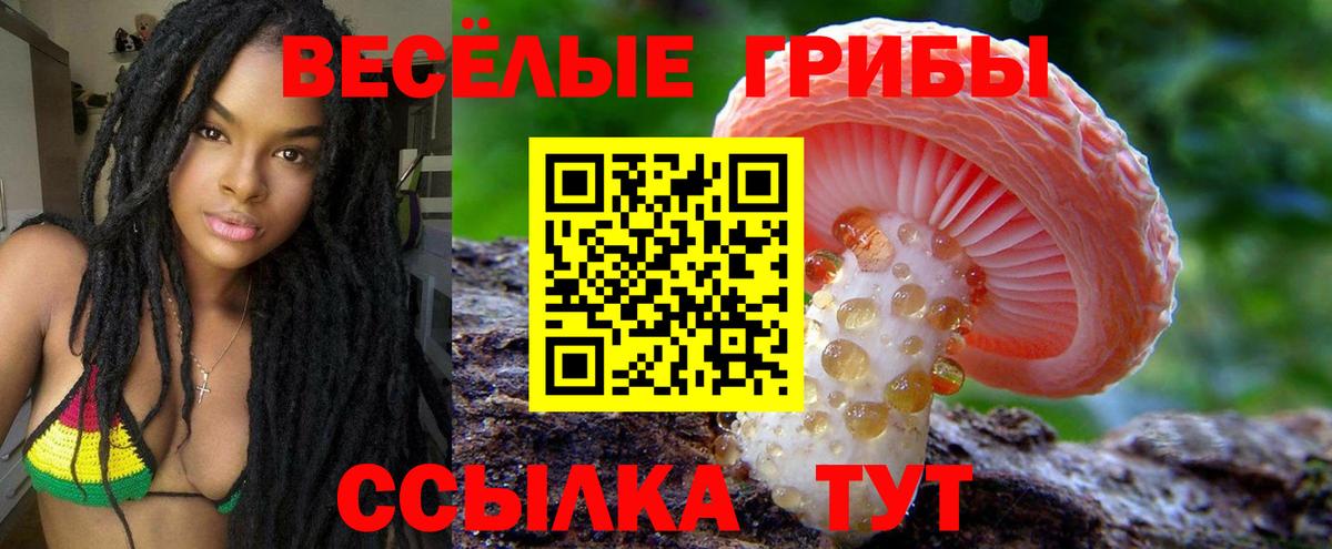 Коркино  Галлюциногенные грибы мицелий  где найти наркотики  Галлюциногенные грибы Magic Shrooms  Вход с VPN 