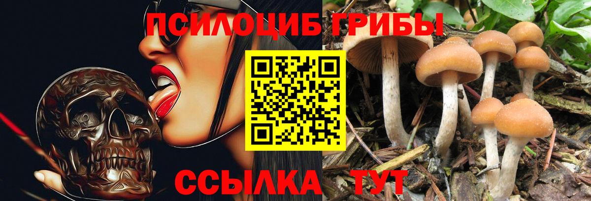 Коркино  Марихуана  Экстази  Купить наркотик  КЕТАМИН  ГЕРОИН  Вход с VPN  Кокаин  МЕФ   ГАШ 